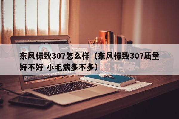 东风标致307怎么样（东风标致307质量好不好 小毛病多不多）