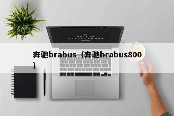 奔驰brabus（奔驰brabus800）