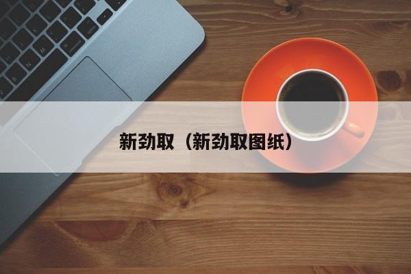 新劲取（新劲取图纸）