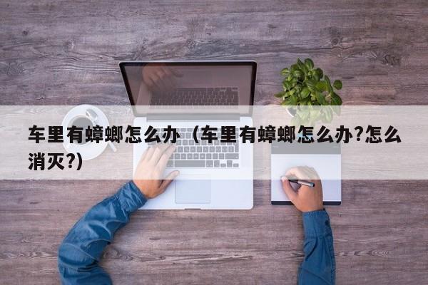 车里有蟑螂怎么办（车里有蟑螂怎么办?怎么消灭?）