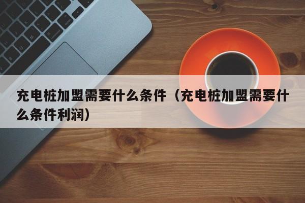 充电桩加盟需要什么条件（充电桩加盟需要什么条件利润）