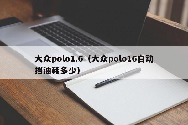 大众polo1.6（大众polo16自动挡油耗多少）