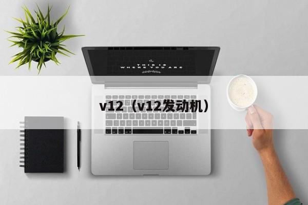 v12（v12发动机）