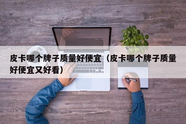 皮卡哪个牌子质量好便宜（皮卡哪个牌子质量好便宜又好看）