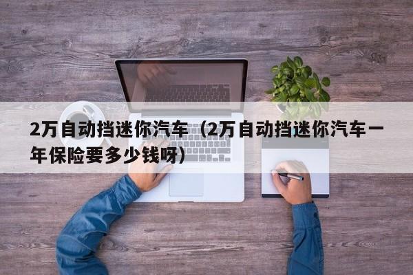 2万自动挡迷你汽车（2万自动挡迷你汽车一年保险要多少钱呀）