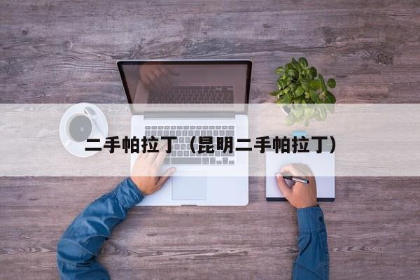 二手帕拉丁（昆明二手帕拉丁）