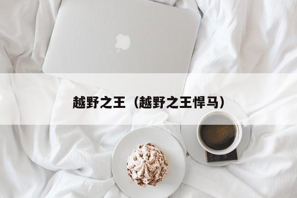 越野之王（越野之王悍马）