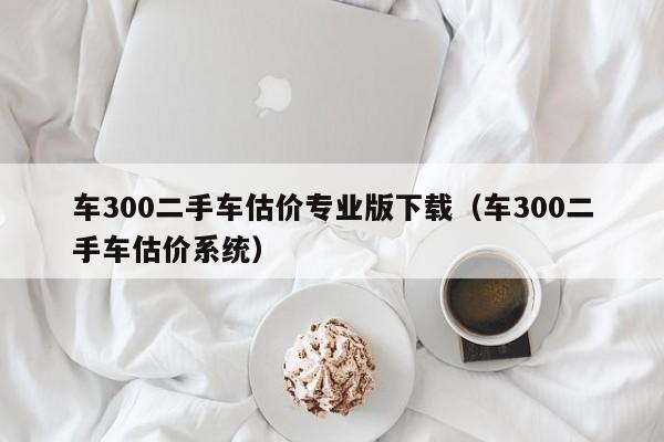车300二手车估价专业版下载（车300二手车估价系统）