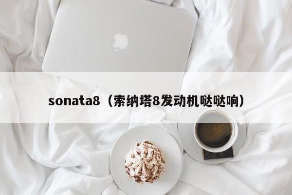 sonata8（索纳塔8发动机哒哒响）