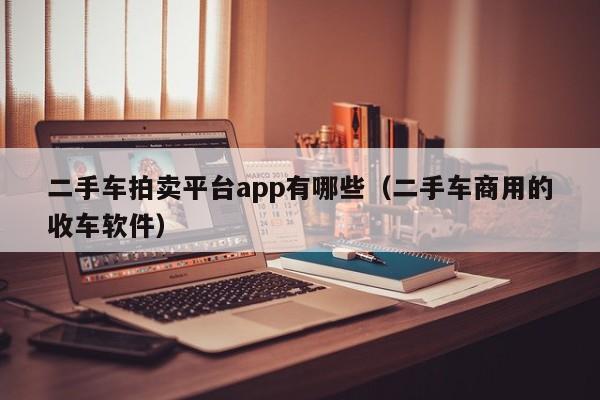 二手车拍卖平台app有哪些（二手车商用的收车软件）