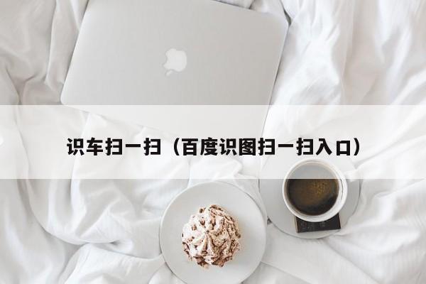 识车扫一扫（百度识图扫一扫入口）