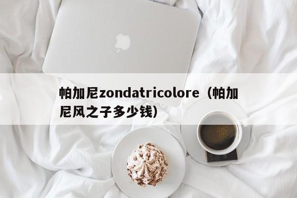 帕加尼zondatricolore（帕加尼风之子多少钱）