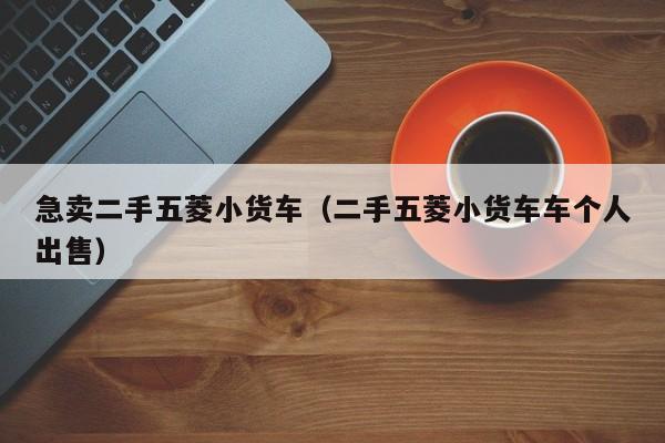 急卖二手五菱小货车（二手五菱小货车车个人出售）