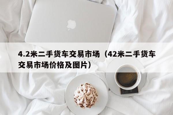 4.2米二手货车交易市场（42米二手货车交易市场价格及图片）
