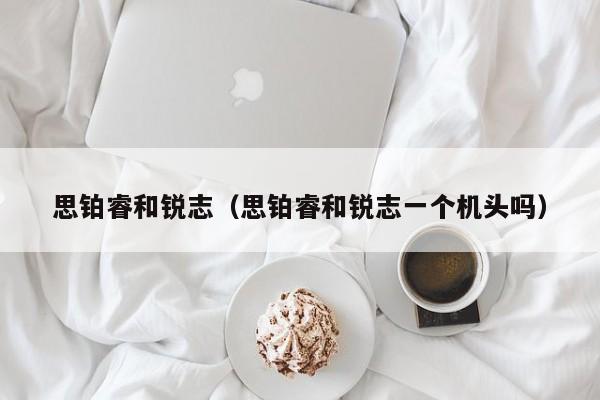 思铂睿和锐志（思铂睿和锐志一个机头吗）