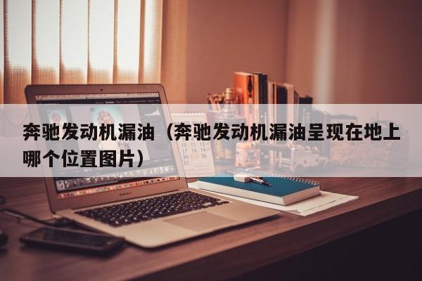 奔驰发动机漏油（奔驰发动机漏油呈现在地上哪个位置图片）