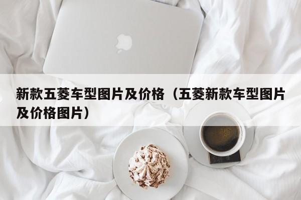 新款五菱车型图片及价格（五菱新款车型图片及价格图片）
