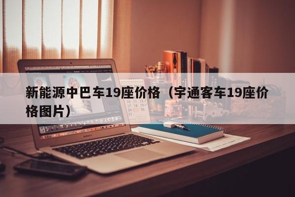 新能源中巴车19座价格（宇通客车19座价格图片）
