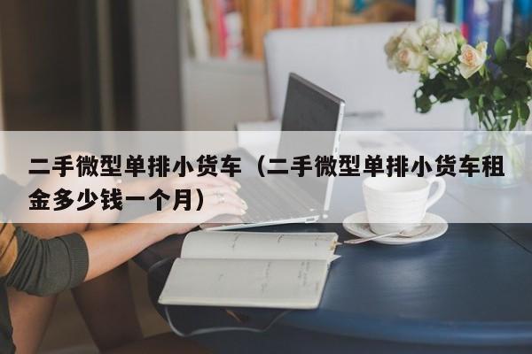 二手微型单排小货车（二手微型单排小货车租金多少钱一个月）