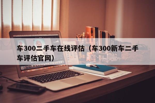 车300二手车在线评估（车300新车二手车评估官网）
