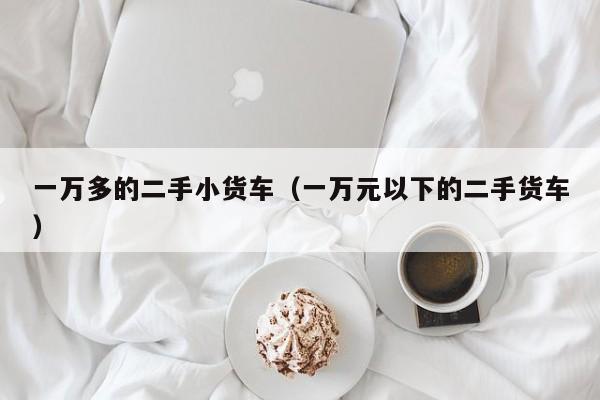 一万多的二手小货车（一万元以下的二手货车）