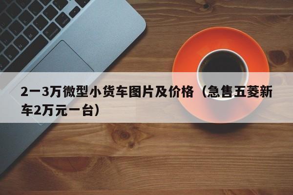 2一3万微型小货车图片及价格（急售五菱新车2万元一台）
