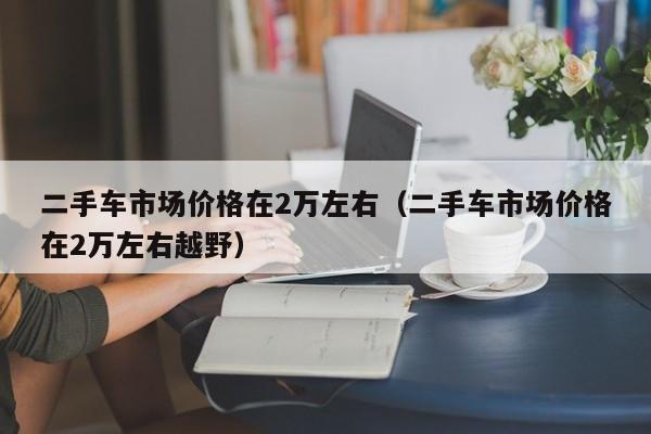 二手车市场价格在2万左右（二手车市场价格在2万左右越野）