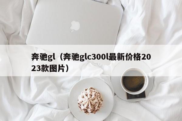 奔驰gl（奔驰glc300l最新价格2023款图片）