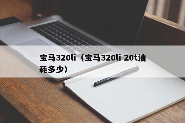 宝马320li（宝马320li 20t油耗多少）