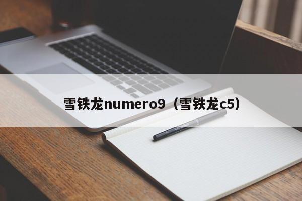 雪铁龙numero9（雪铁龙c5）