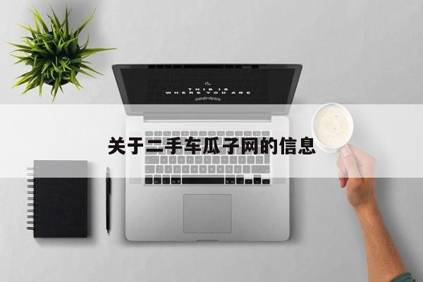 关于二手车瓜子网的信息