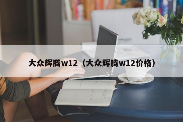 大众辉腾w12（大众辉腾w12价格）