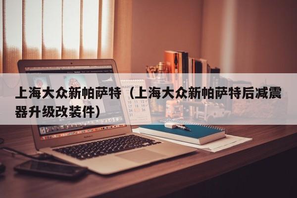 上海大众新帕萨特（上海大众新帕萨特后减震器升级改装件）