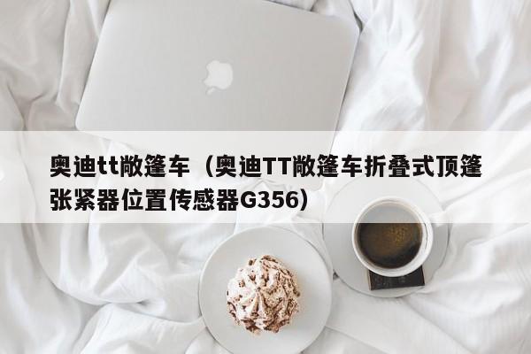 奥迪tt敞篷车（奥迪TT敞篷车折叠式顶篷张紧器位置传感器G356）