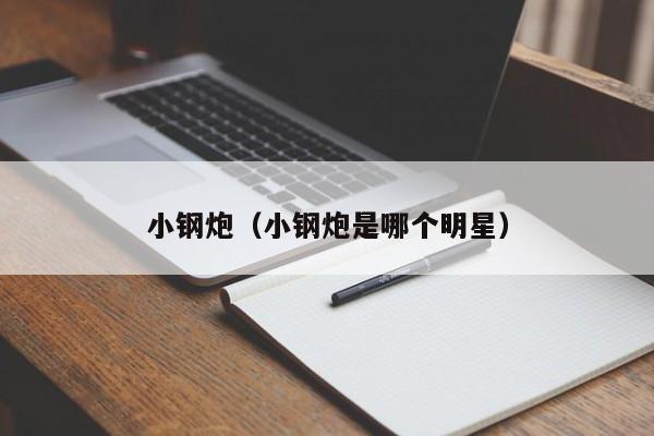 小钢炮（小钢炮是哪个明星）