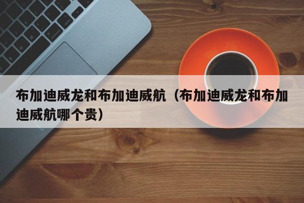 布加迪威龙和布加迪威航（布加迪威龙和布加迪威航哪个贵）