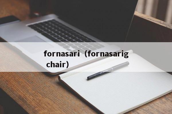 fornasari（fornasarig chair）