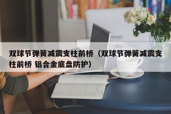 双球节弹簧减震支柱前桥（双球节弹簧减震支柱前桥 铝合金底盘防护）
