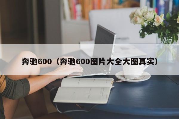 奔驰600（奔驰600图片大全大图真实）