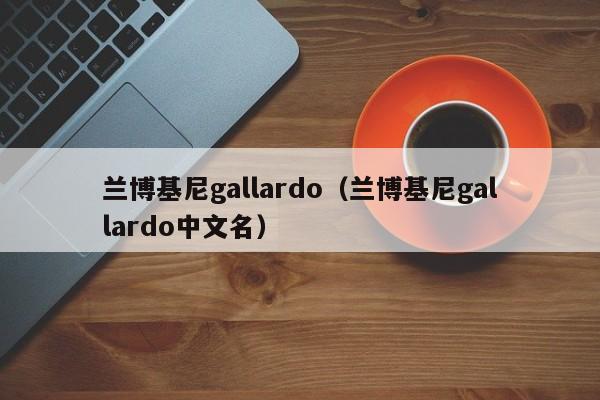兰博基尼gallardo（兰博基尼gallardo中文名）
