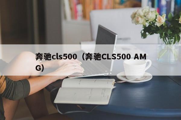 奔驰cls500（奔驰CLS500 AMG）