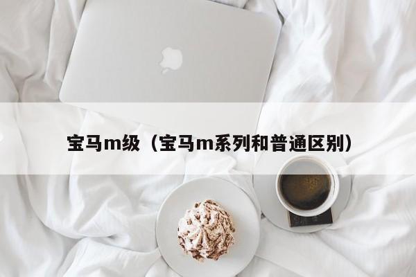 宝马m级（宝马m系列和普通区别）