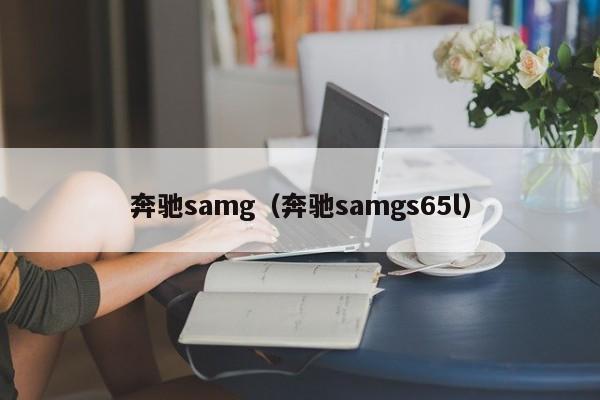 奔驰samg（奔驰samgs65l）