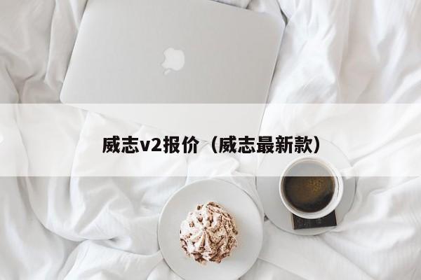 威志v2报价（威志最新款）