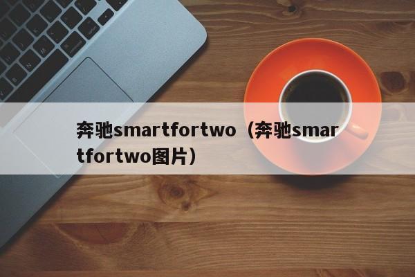 奔驰smartfortwo（奔驰smartfortwo图片）