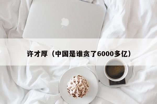 许才厚（中国是谁贪了6000多亿）