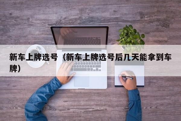 新车上牌选号（新车上牌选号后几天能拿到车牌）