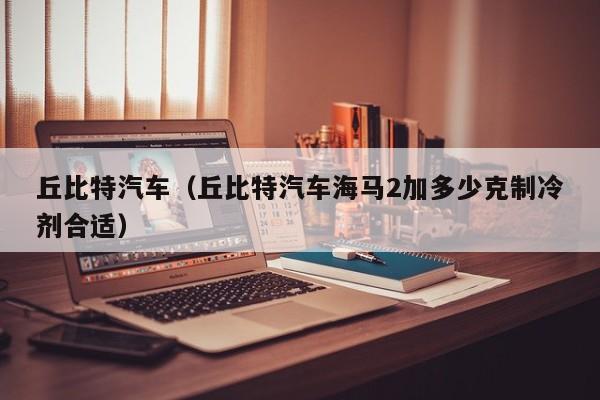 丘比特汽车（丘比特汽车海马2加多少克制冷剂合适）