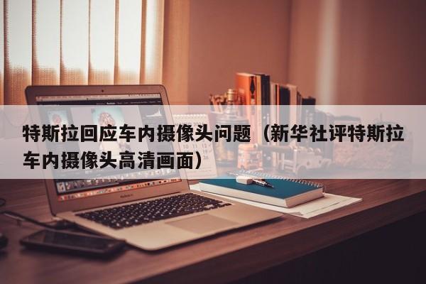 特斯拉回应车内摄像头问题（新华社评特斯拉车内摄像头高清画面）