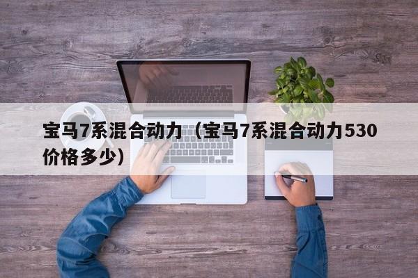 宝马7系混合动力（宝马7系混合动力530价格多少）
